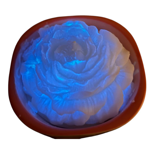 Moonflower Glow