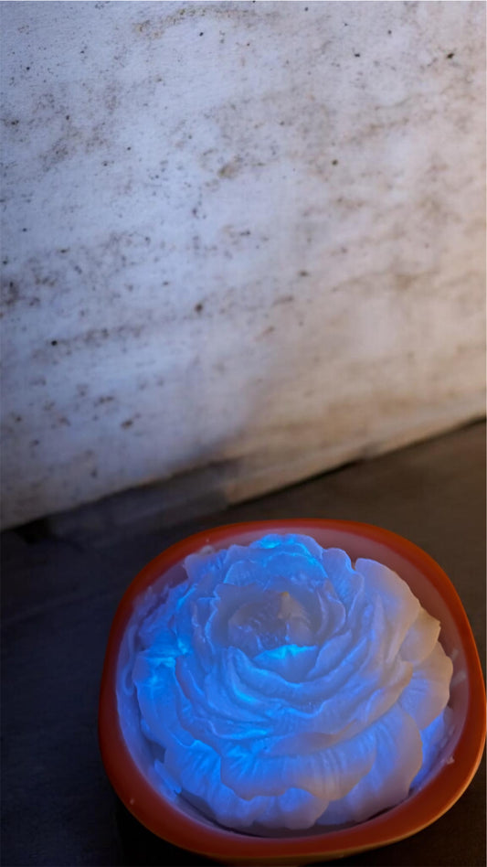 Moonflower Glow